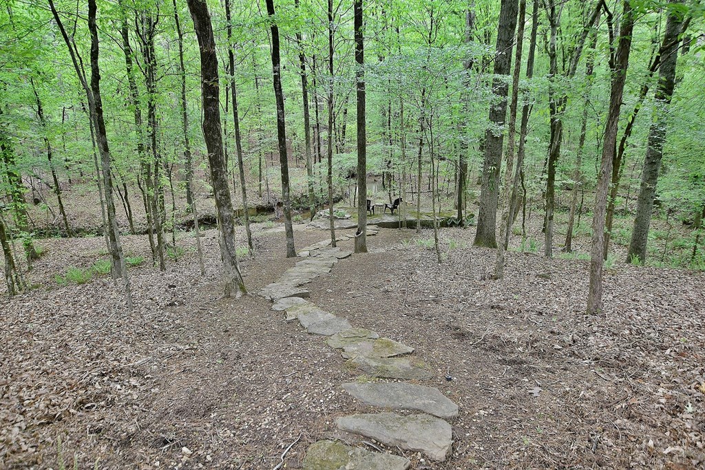 727 Huling Road Fortson, GA 31808 - Photo 39 of 44 Trail to the creek