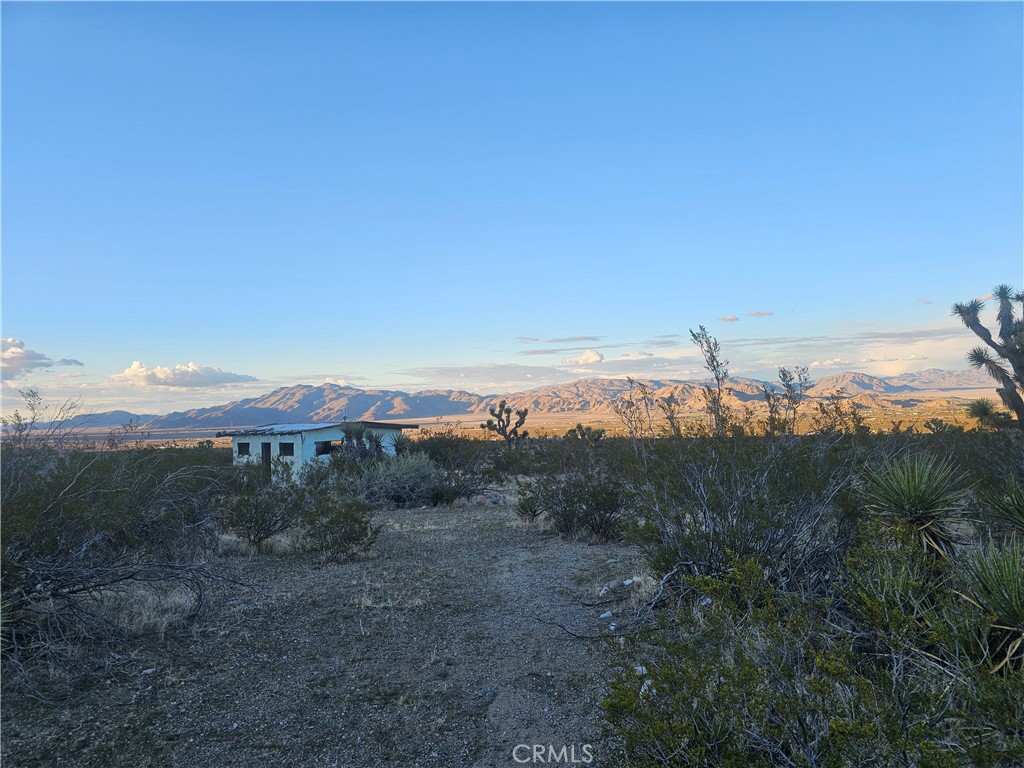 411 Powerline Road Lucerne Valley, CA 92356 - Photo 6 of 10