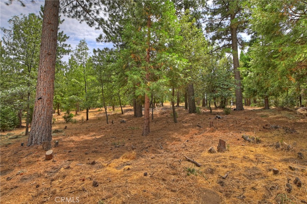 120 Pine Ridge Road Crestline, CA 92325 - Photo 50 of 58 a view of outdoor space with trees