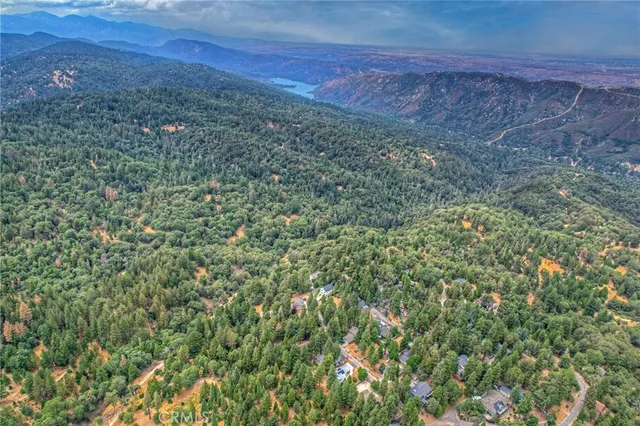 a view of a yard with an outdoor space and trees