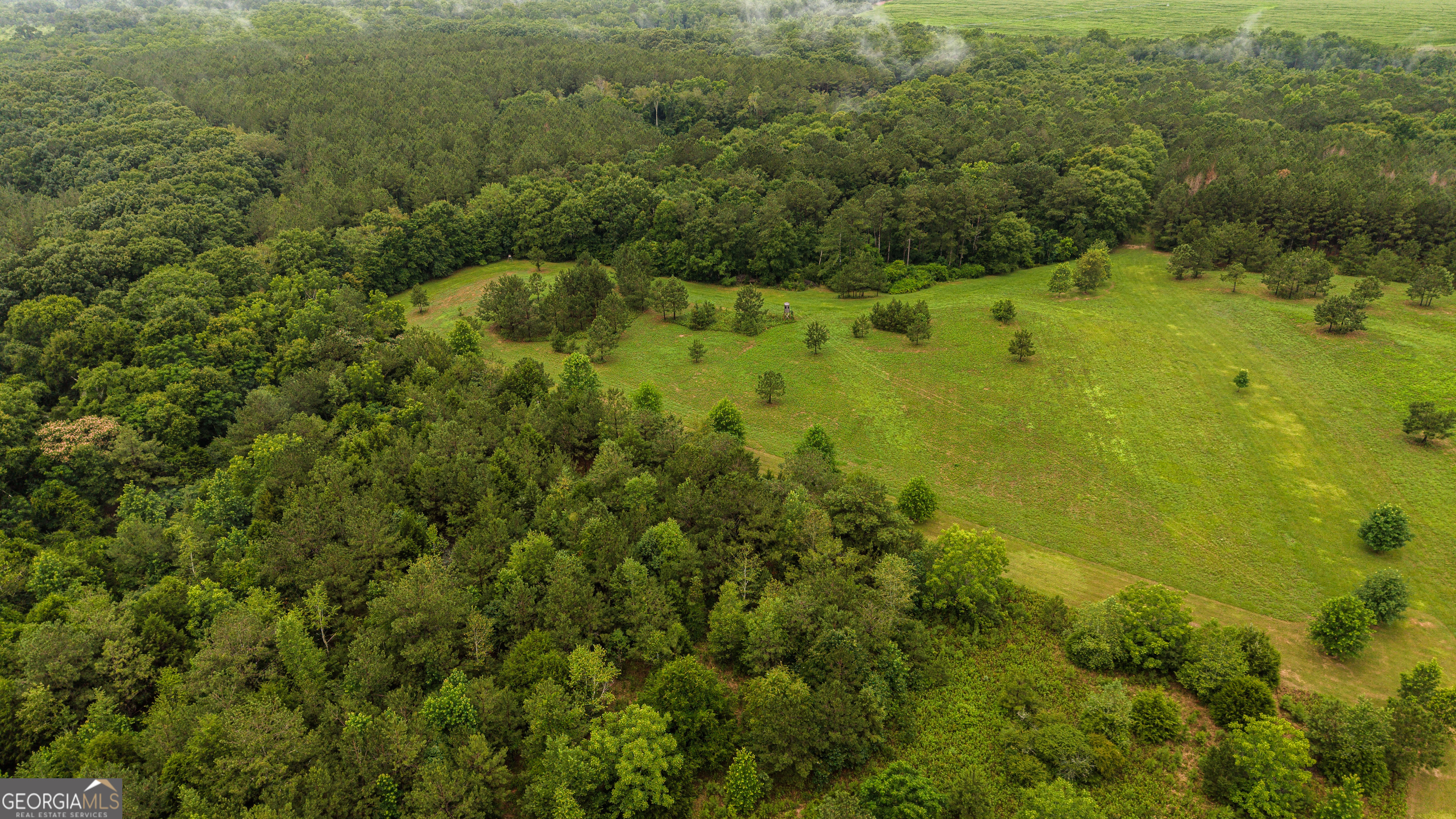 990 Highway 49 Americus, GA 31719 - Photo 117 of 121