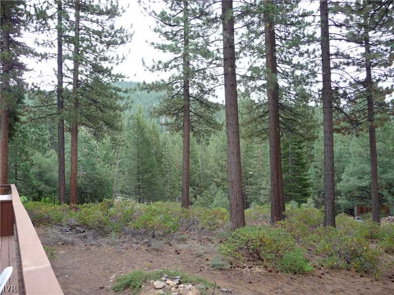 979 Cart Court Incline Village, NV 89451 - Photo 21 of 34 a view of a forest