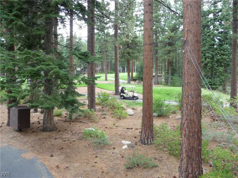 979 Cart Court Incline Village, NV 89451 - Photo 24 of 34 a view of a forest that has large trees