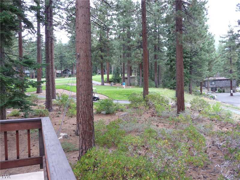 979 Cart Court Incline Village, NV 89451 - Photo 8 of 34 a view of a forest with trees