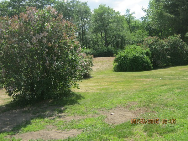 226 West Road Ashby, MA 01431 - Photo 28 of 28 a view of backyard with green space