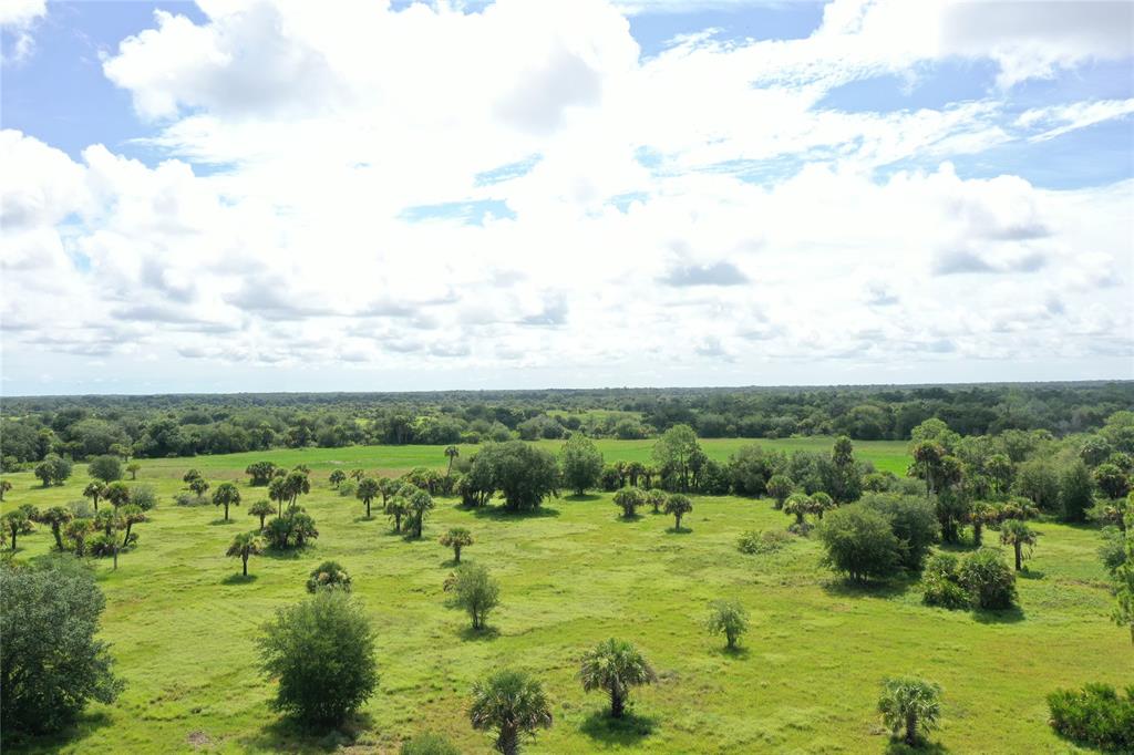 Tbd Cr 832 Clewiston, FL 33440 - Photo 14 of 45 a view of a green field with lots of green space