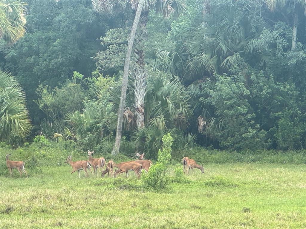 Tbd Cr 832 Clewiston, FL 33440 - Photo 18 of 45 a fire hydrant in the middle of a field