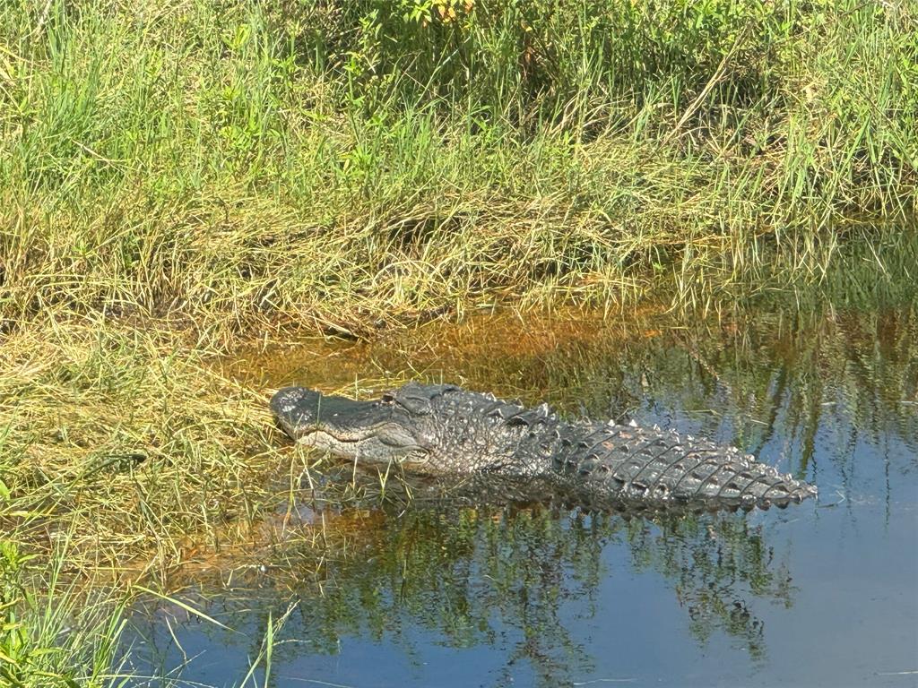 Tbd Cr 832 Clewiston, FL 33440 - Photo 21 of 45 a view of swimming pool from a lake view