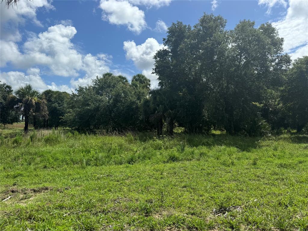 Tbd Cr 832 Clewiston, FL 33440 - Photo 23 of 45 a backyard of a house with lots of green space