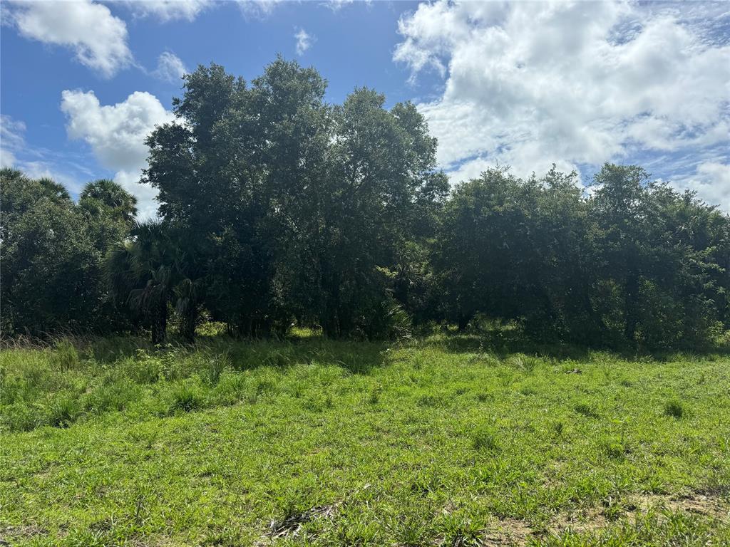 Tbd Cr 832 Clewiston, FL 33440 - Photo 24 of 45 a view of outdoor space with green field and trees