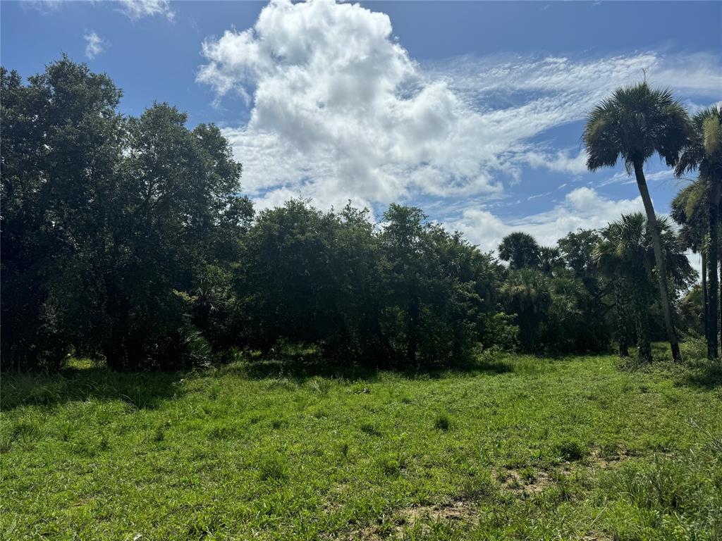 Tbd Cr 832 Clewiston, FL 33440 - Photo 25 of 45