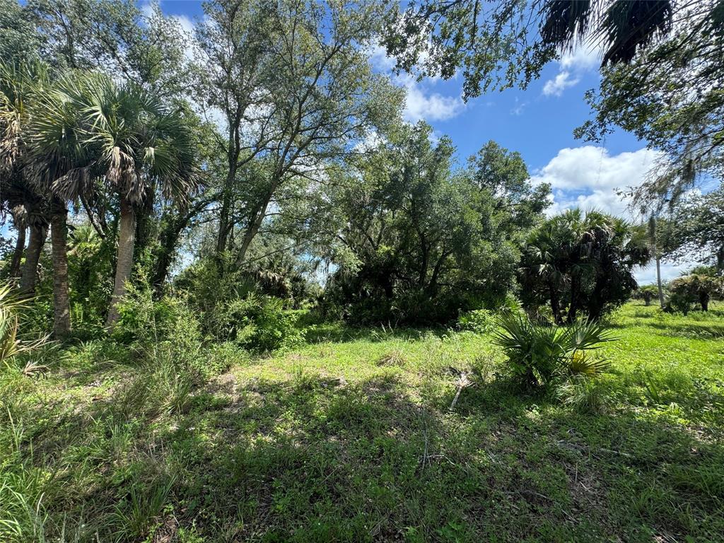 Tbd Cr 832 Clewiston, FL 33440 - Photo 29 of 45 a view of a garden
