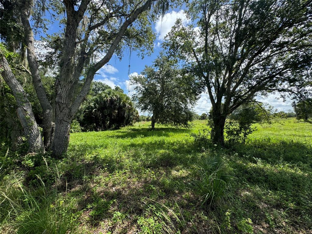 Tbd Cr 832 Clewiston, FL 33440 - Photo 34 of 45 a view of grassy field with trees
