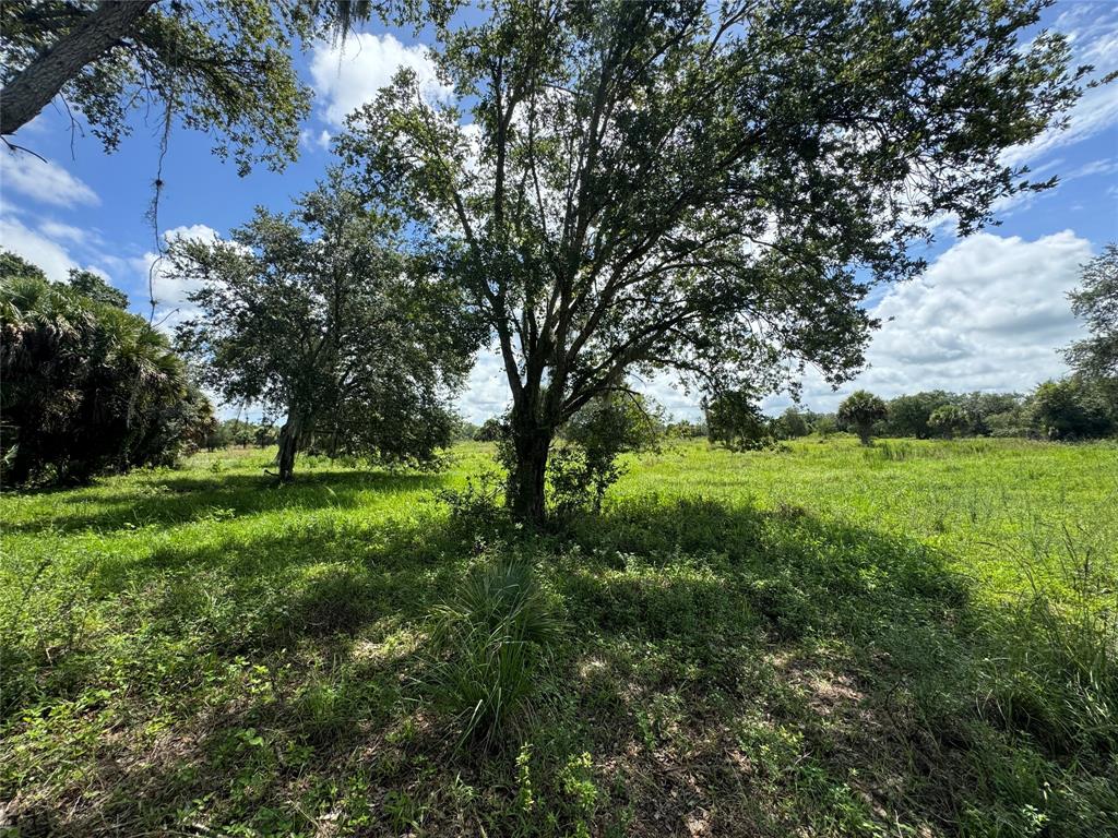 Tbd Cr 832 Clewiston, FL 33440 - Photo 35 of 45 a view of grassy field with benches