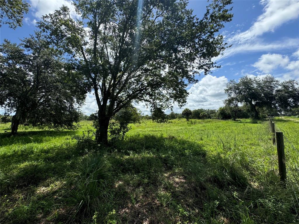 Tbd Cr 832 Clewiston, FL 33440 - Photo 36 of 45 a view of yard with green space