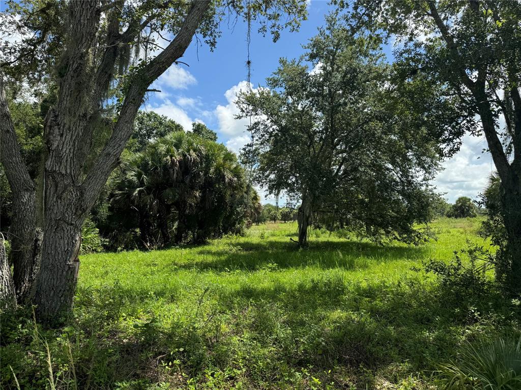 Tbd Cr 832 Clewiston, FL 33440 - Photo 38 of 45 a view of a trees with a yard