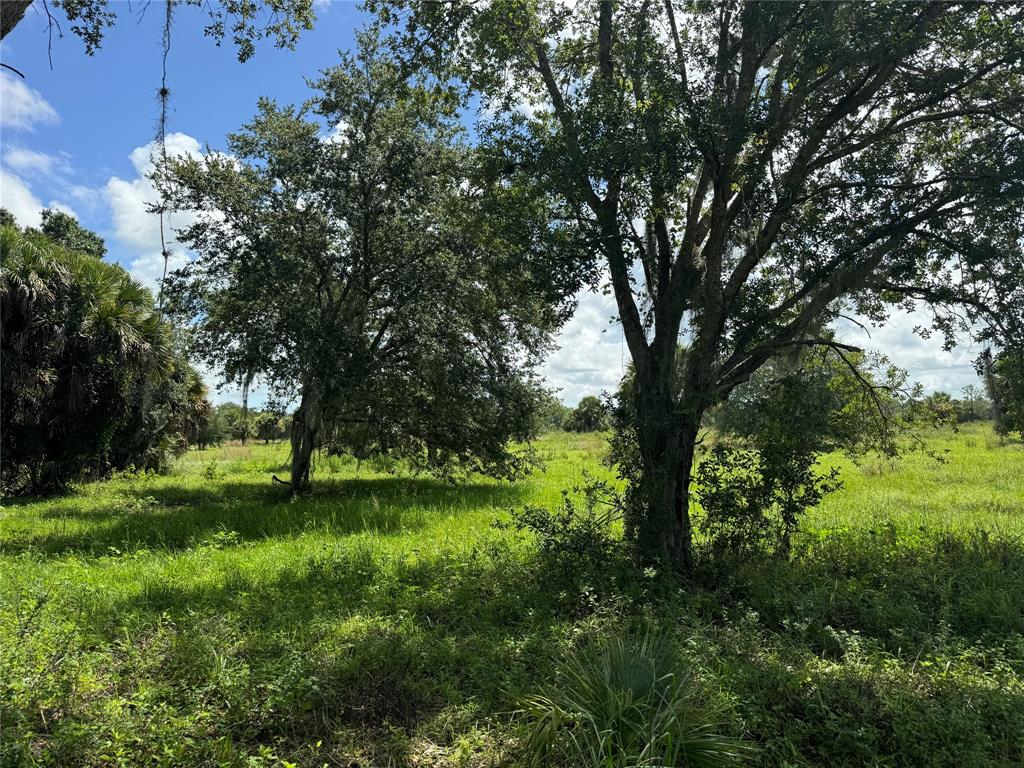 Tbd Cr 832 Clewiston, FL 33440 - Photo 39 of 45 a view of a lush green space
