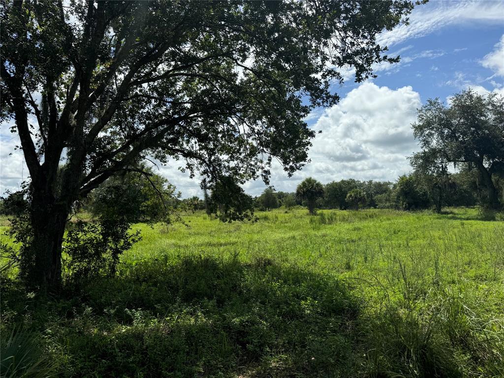 Tbd Cr 832 Clewiston, FL 33440 - Photo 40 of 45 a view of a lush green space