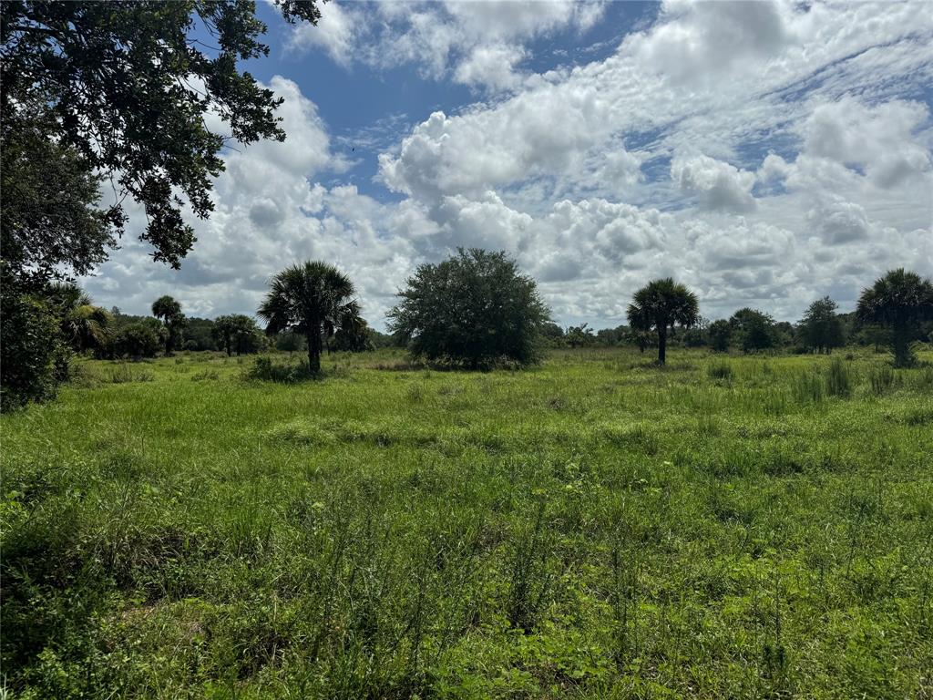Tbd Cr 832 Clewiston, FL 33440 - Photo 41 of 45 a view of a green field with wooden fence