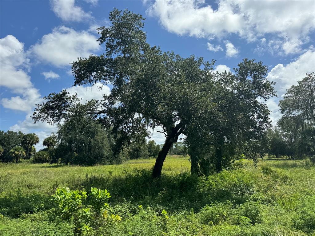 Tbd Cr 832 Clewiston, FL 33440 - Photo 44 of 45 a view of a garden with trees