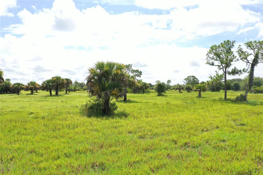 Tbd Cr 832 Clewiston, FL 33440 - Photo 7 of 45 a view of a green field with wooden fence