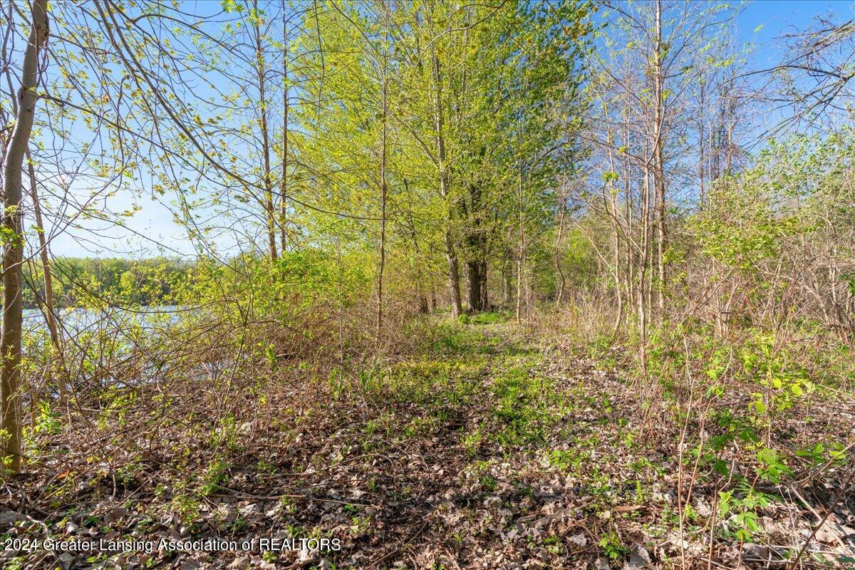 8358 Loomis Road Dewitt, MI 48820 - Photo 55 of 61 31-Media Jett-29