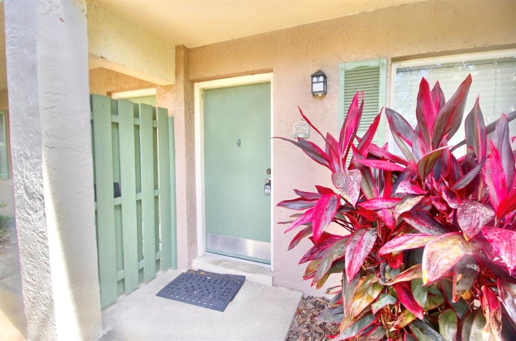 a bathroom with a bathtub and shower curtain