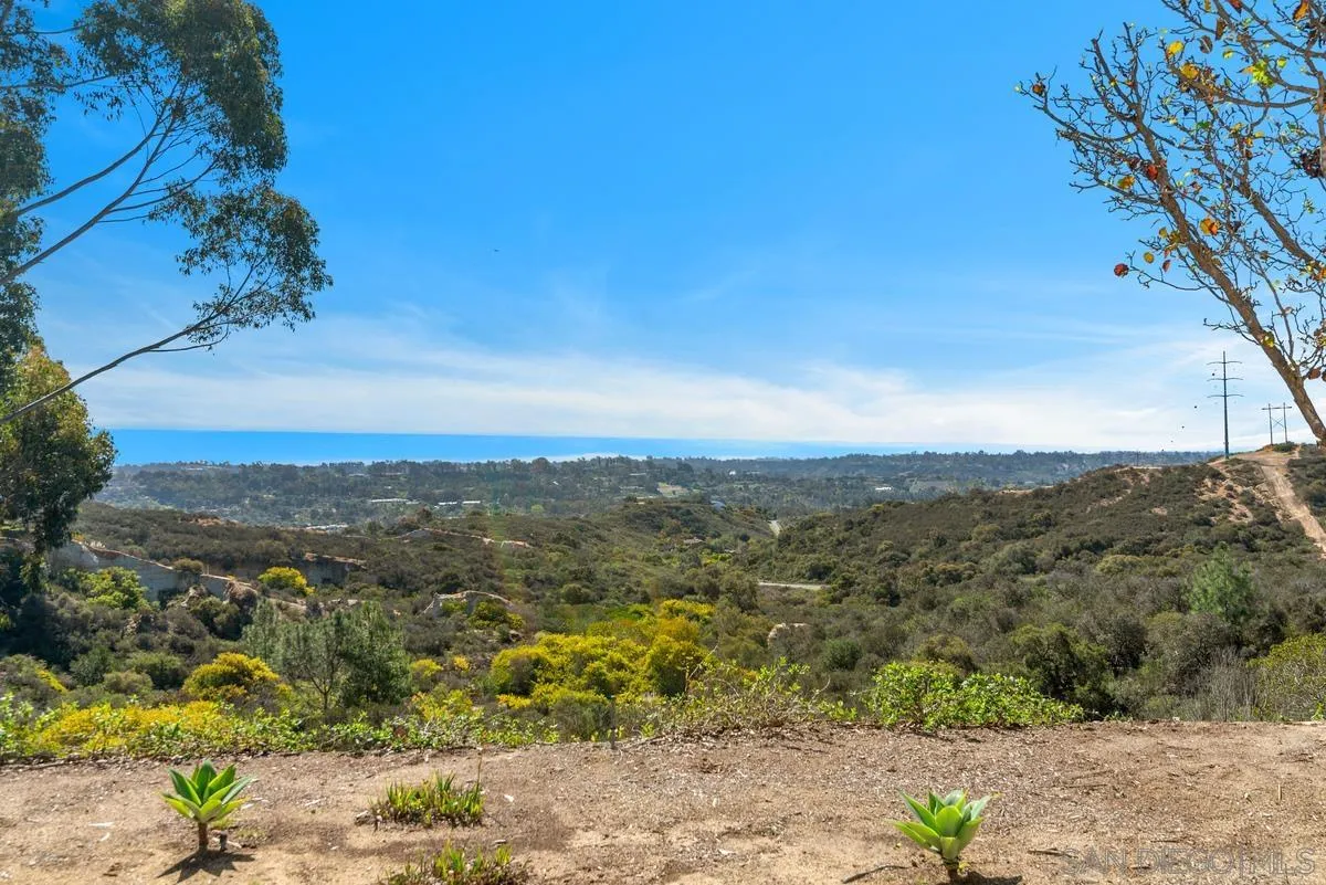245 Fairlee Lane Encinitas, CA 92024 - Photo 5 of 18 a view of a city with lush green forest
