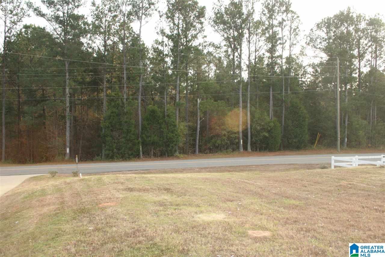 15790 Wire Road Cottondale, AL 35453 - Photo 16 of 16