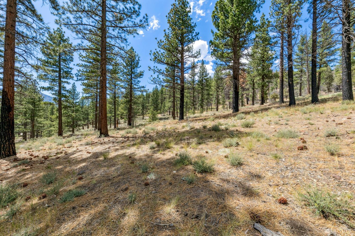 3 Raymond View Markleeville, CA 96120 - Photo 11 of 38