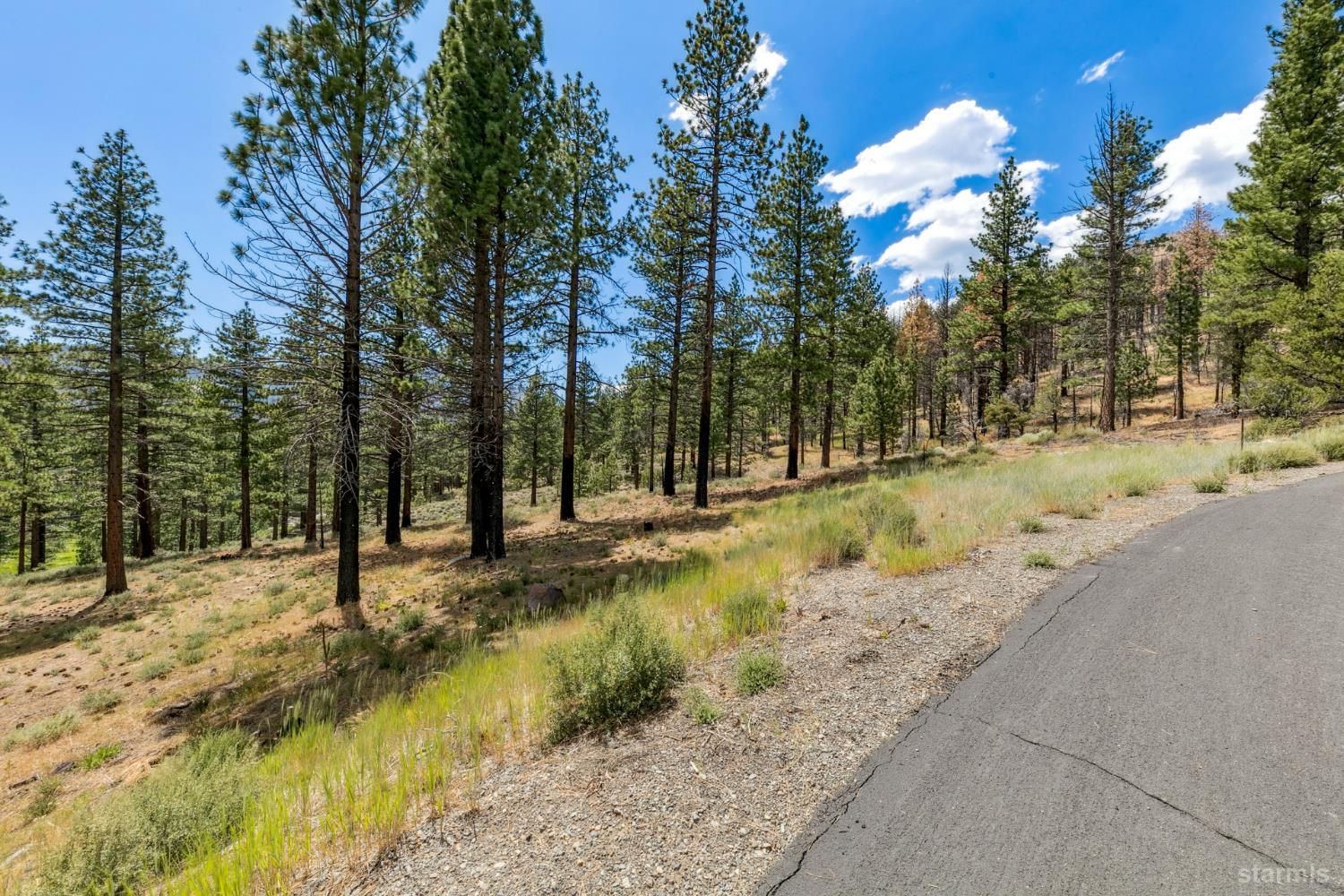 3 Raymond View Markleeville, CA 96120 - Photo 13 of 38