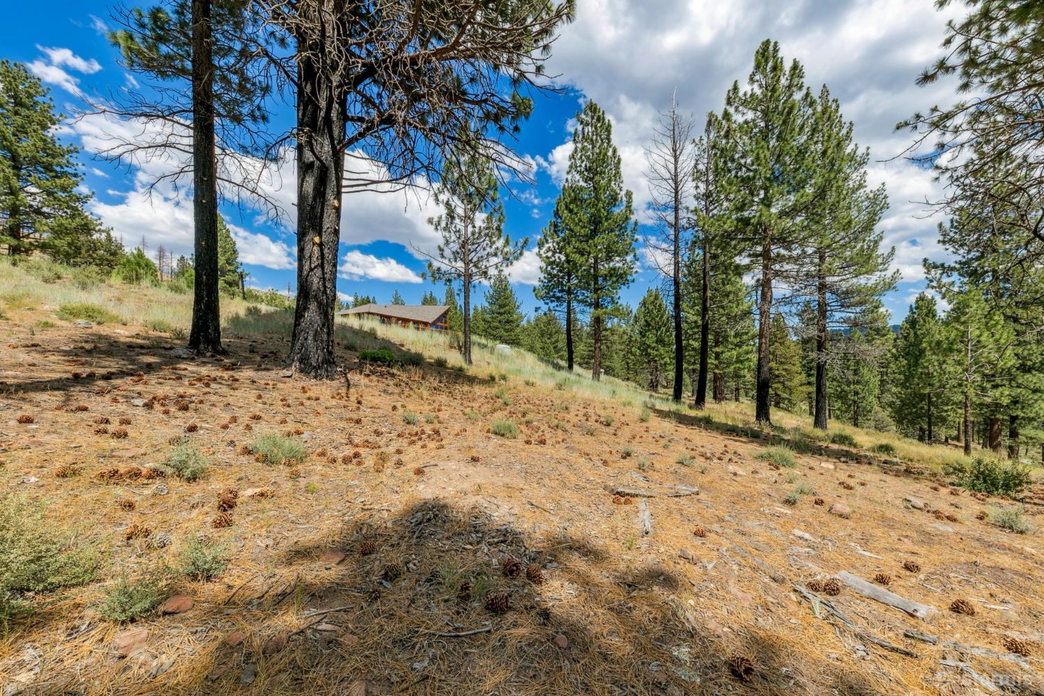 3 Raymond View Markleeville, CA 96120 - Photo 13 of 38