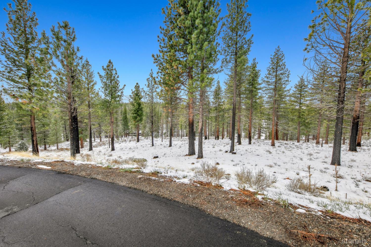 3 Raymond View Markleeville, CA 96120 - Photo 15 of 38