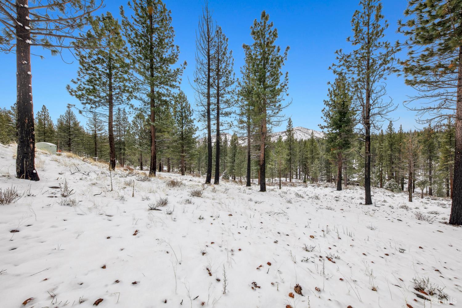 3 Raymond View Markleeville, CA 96120 - Photo 16 of 38