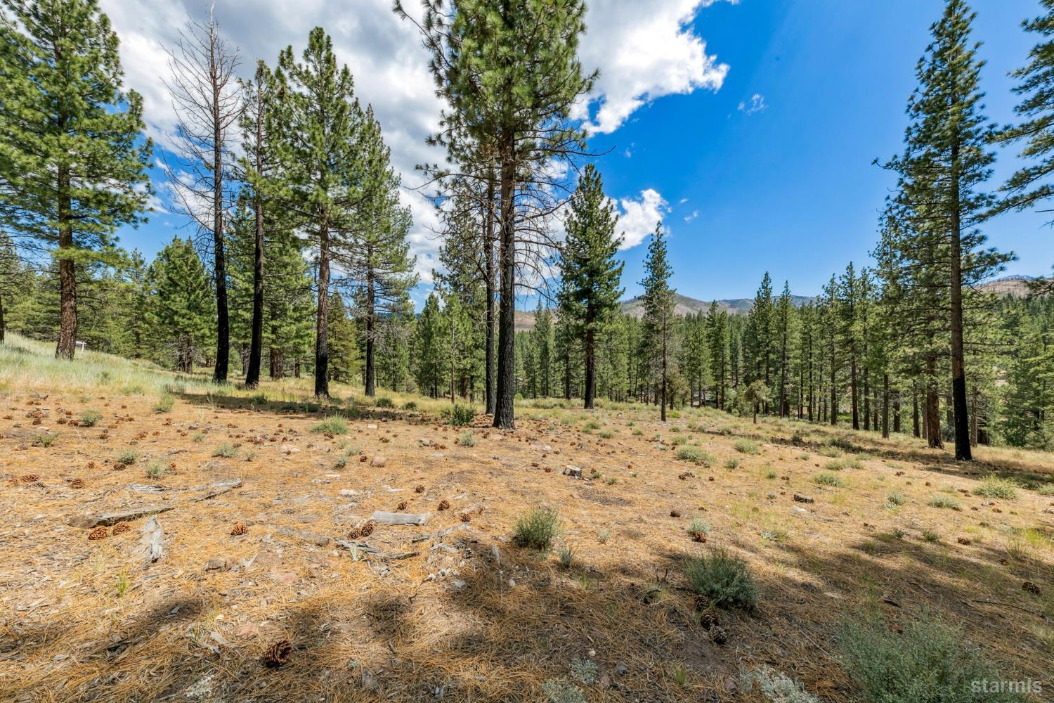 3 Raymond View Markleeville, CA 96120 - Photo 16 of 38