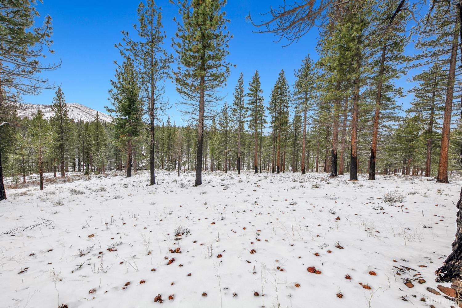 3 Raymond View Markleeville, CA 96120 - Photo 17 of 38