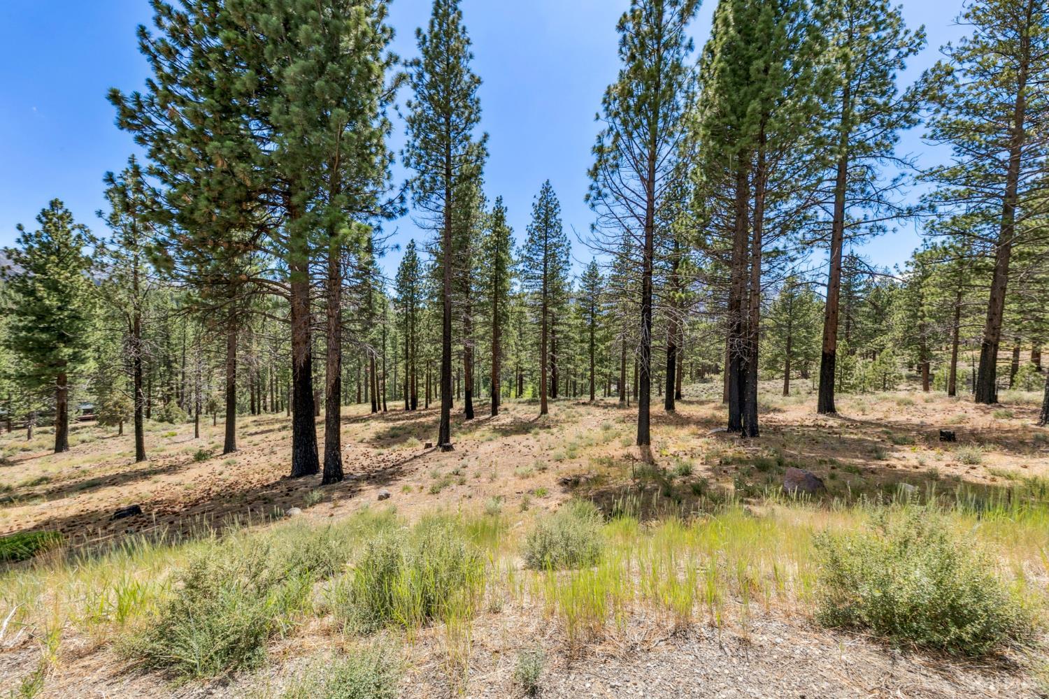 3 Raymond View Markleeville, CA 96120 - Photo 19 of 38