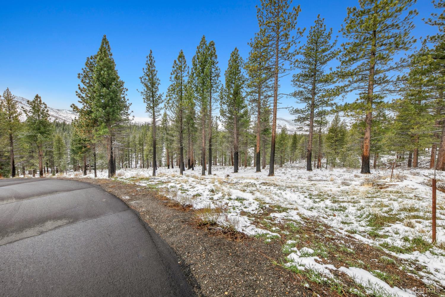 3 Raymond View Markleeville, CA 96120 - Photo 20 of 38