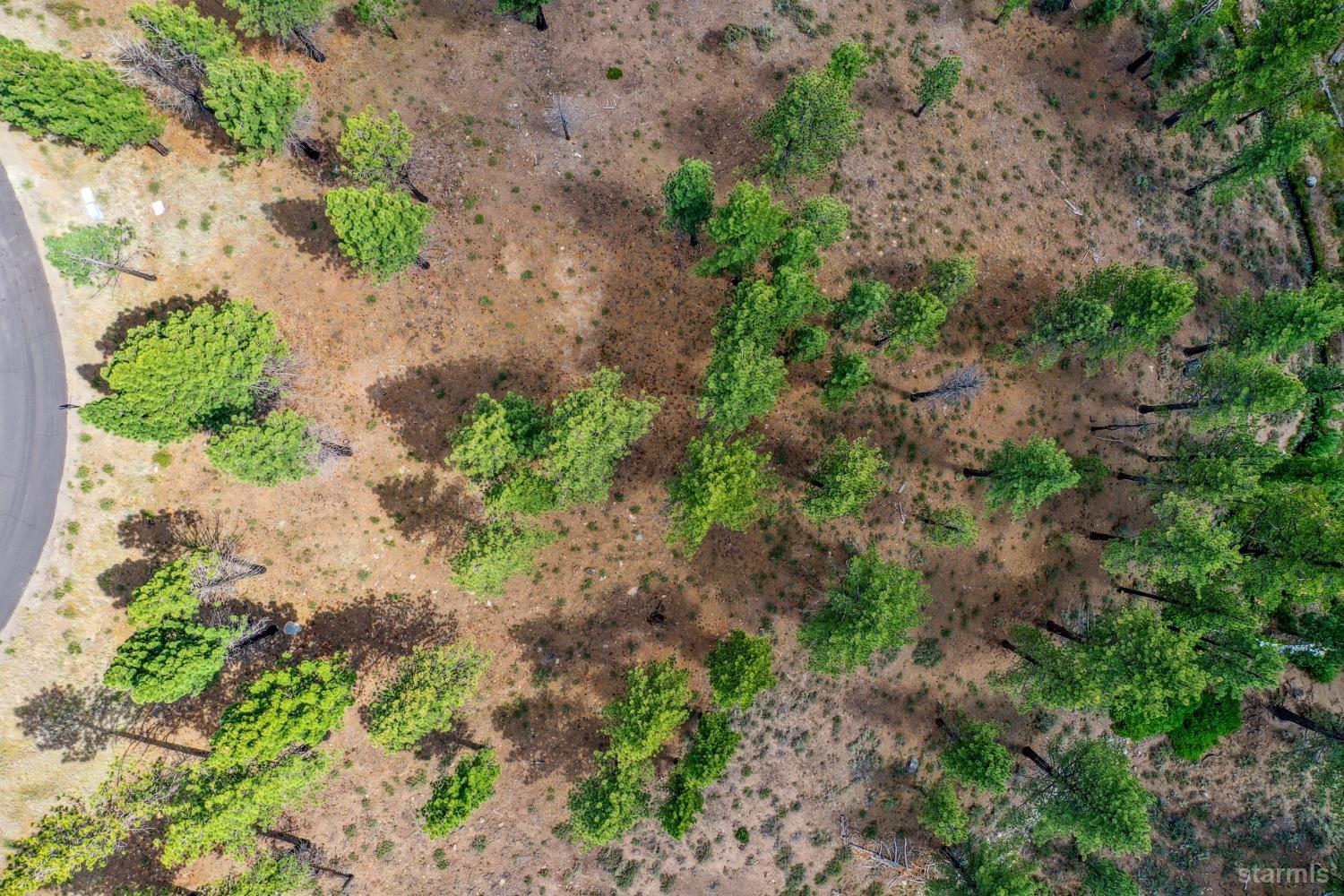 3 Raymond View Markleeville, CA 96120 - Photo 2 of 38