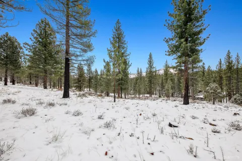 $120,000 | 3 Raymond View, Markleeville, CA 96120