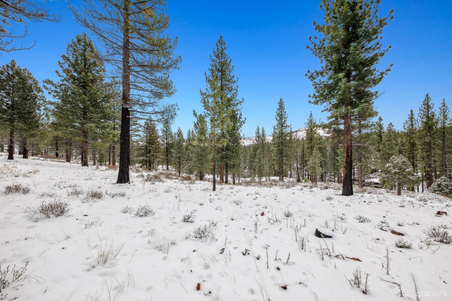 3 Raymond View Markleeville, CA 96120 - Photo 21 of 38