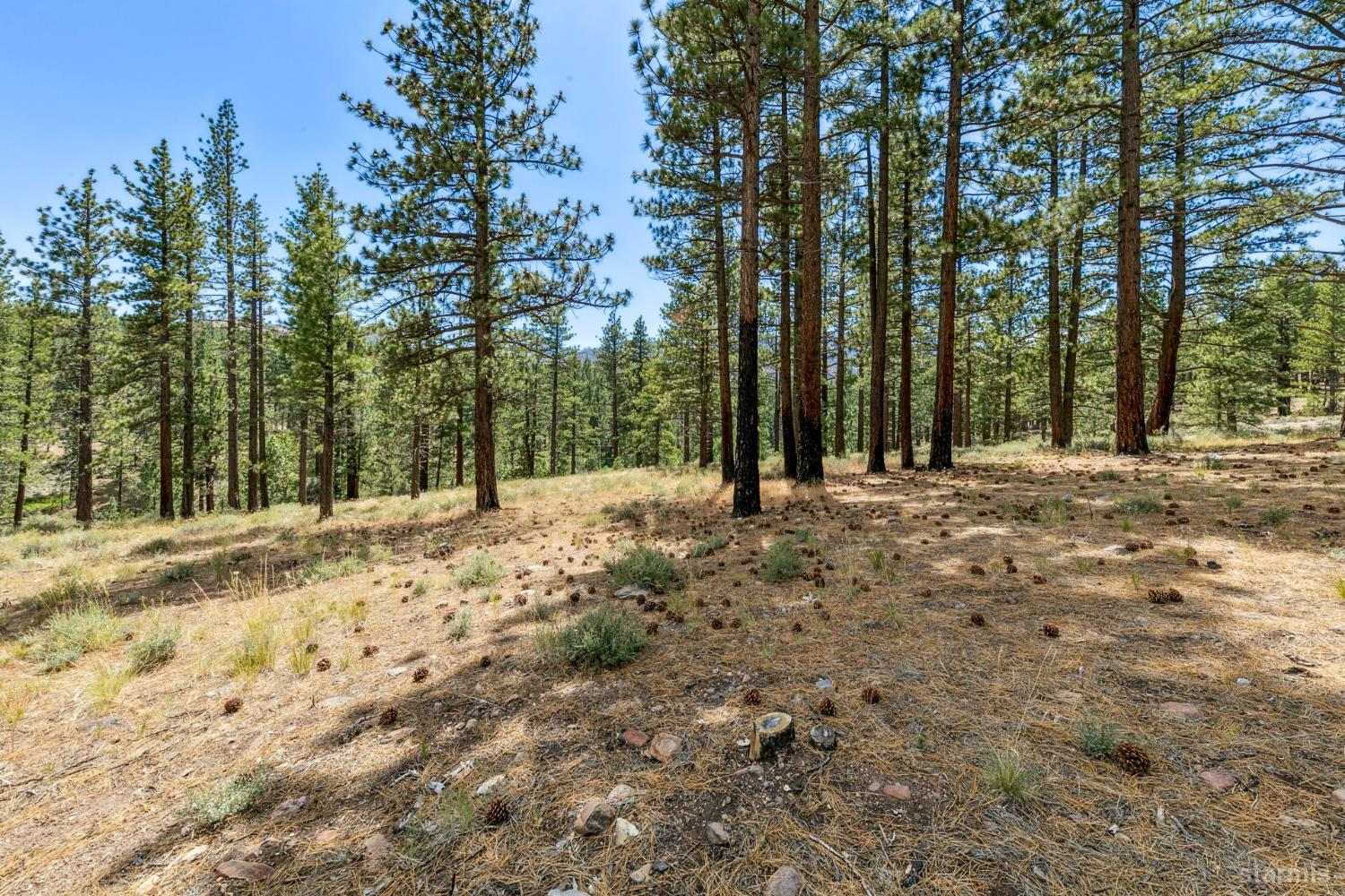 3 Raymond View Markleeville, CA 96120 - Photo 21 of 38