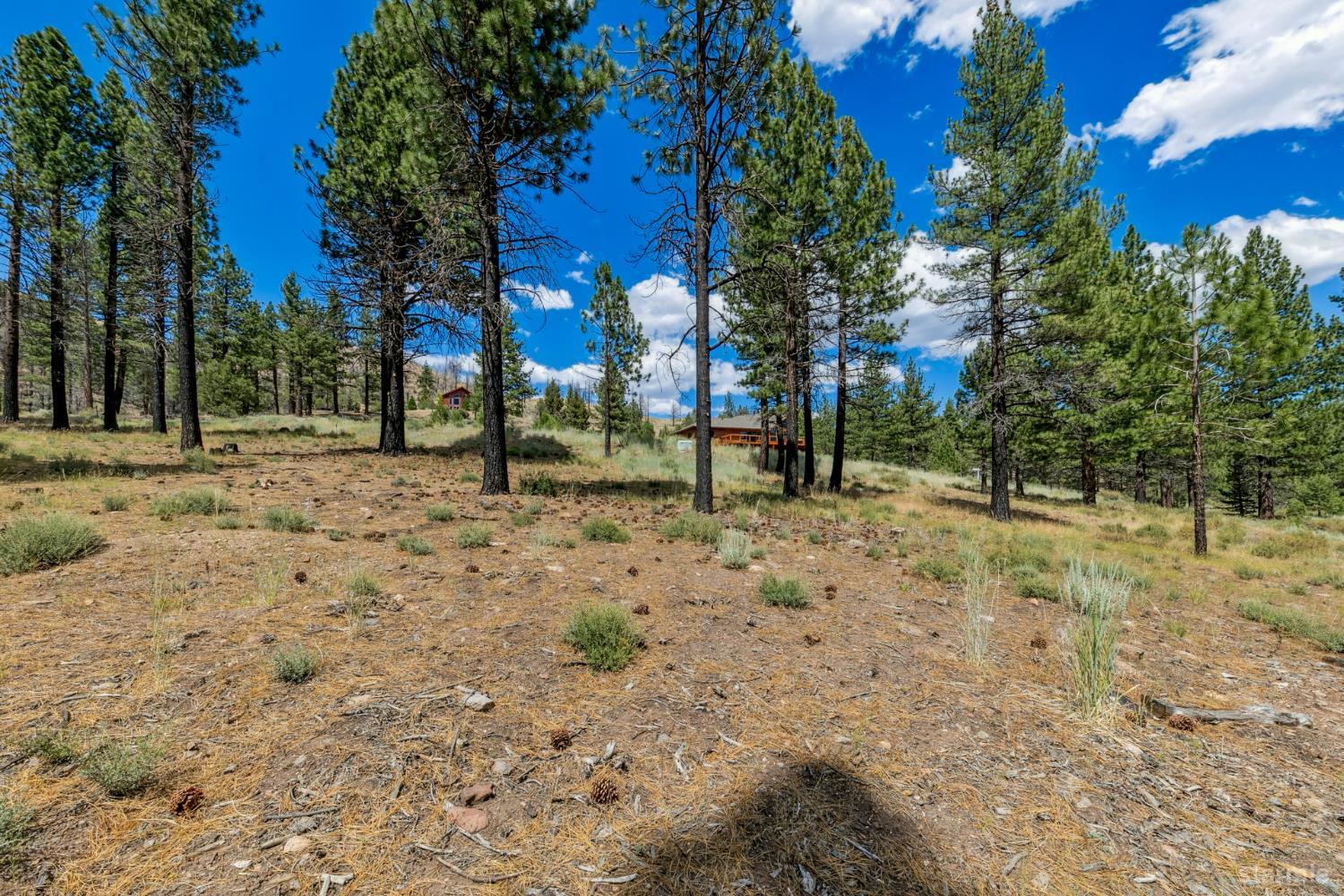 3 Raymond View Markleeville, CA 96120 - Photo 23 of 38