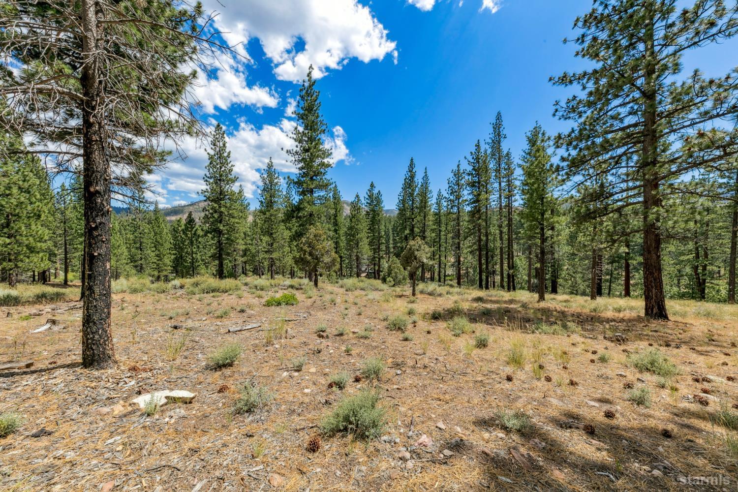 3 Raymond View Markleeville, CA 96120 - Photo 25 of 38