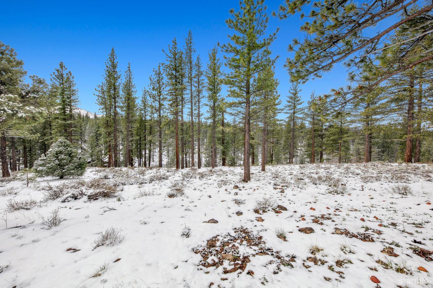 3 Raymond View Markleeville, CA 96120 - Photo 26 of 38