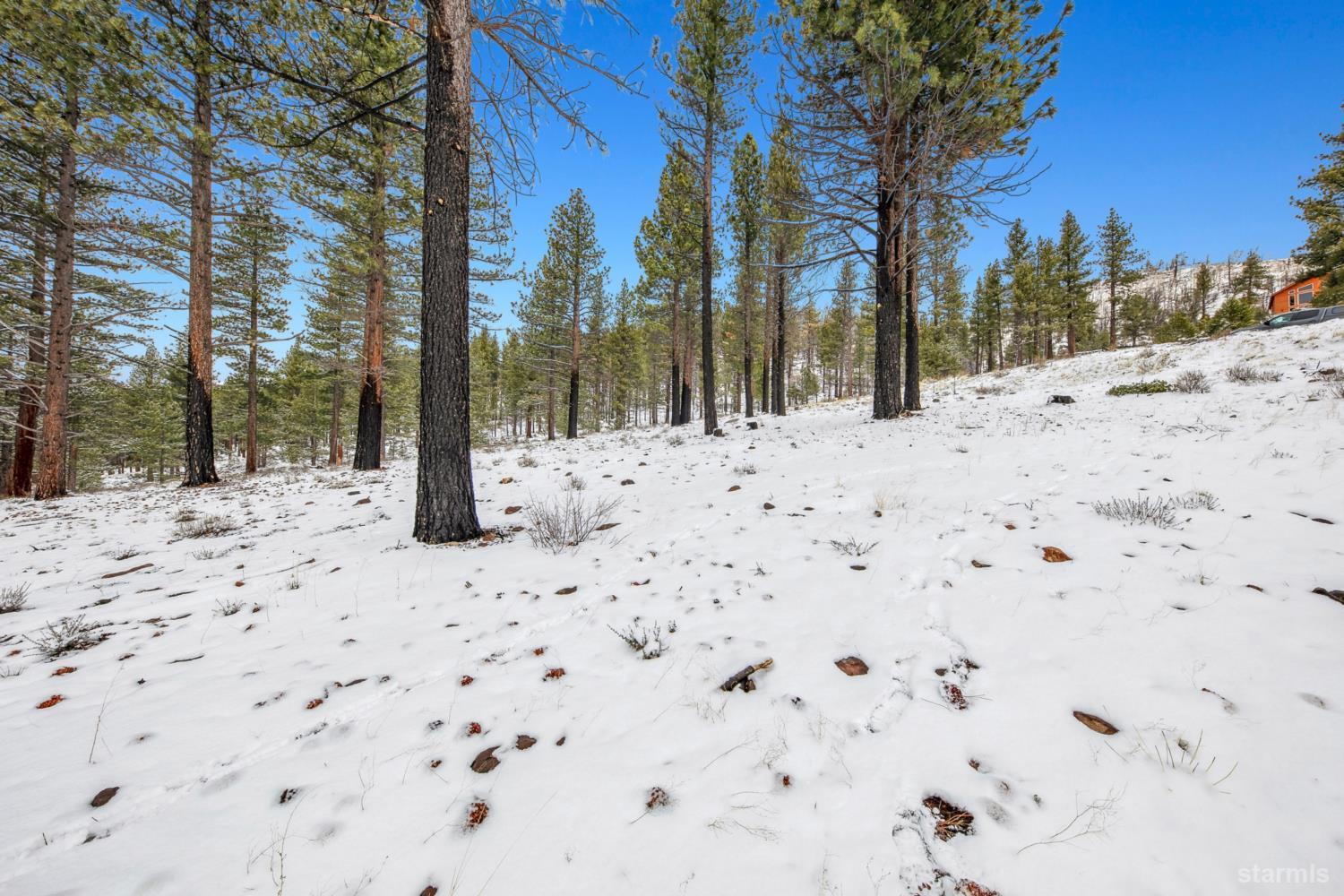 3 Raymond View Markleeville, CA 96120 - Photo 26 of 38