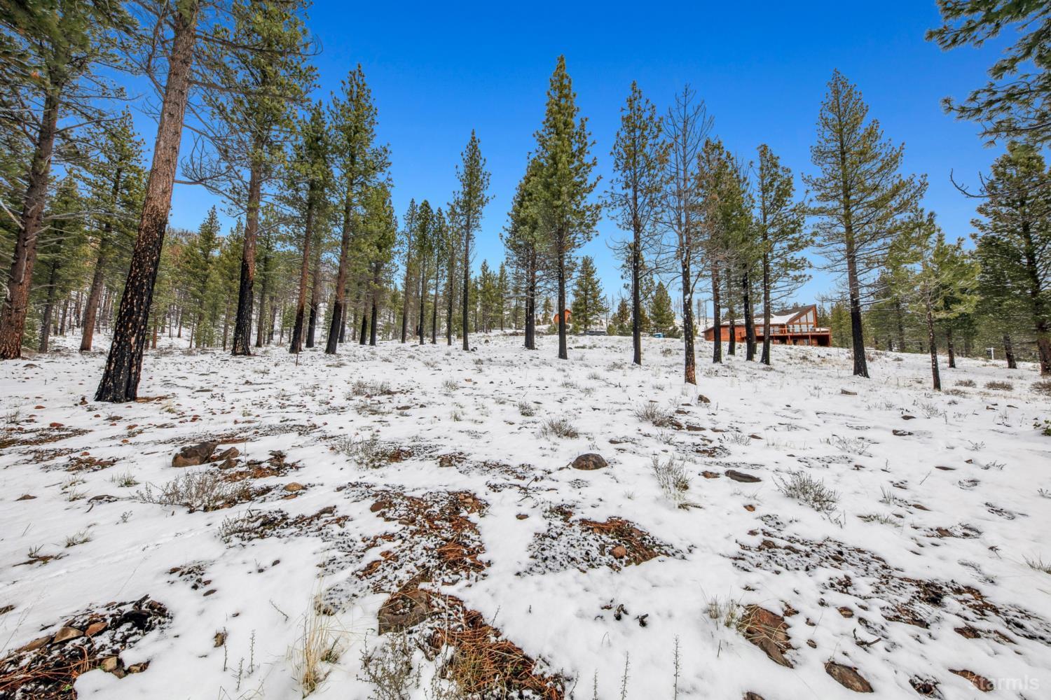 3 Raymond View Markleeville, CA 96120 - Photo 28 of 38