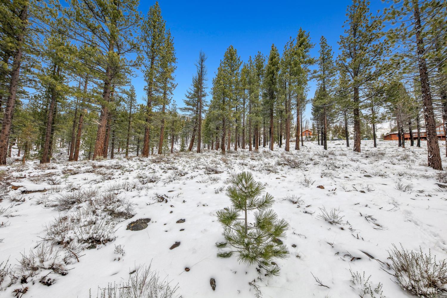3 Raymond View Markleeville, CA 96120 - Photo 29 of 38