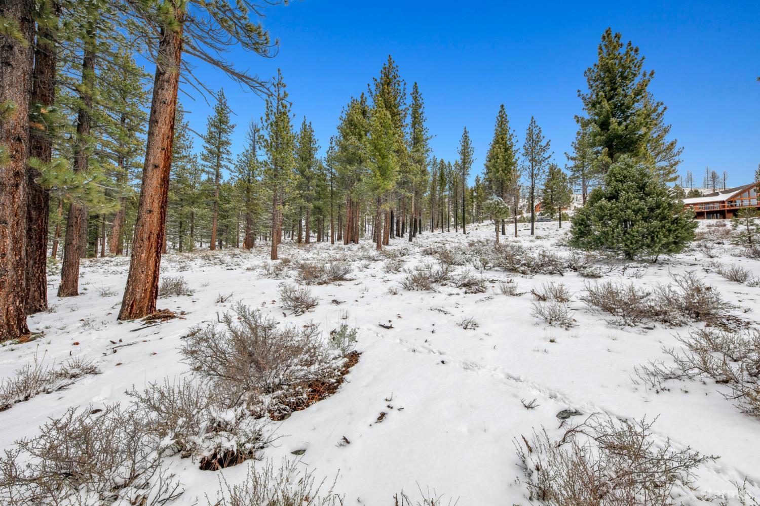 3 Raymond View Markleeville, CA 96120 - Photo 29 of 38