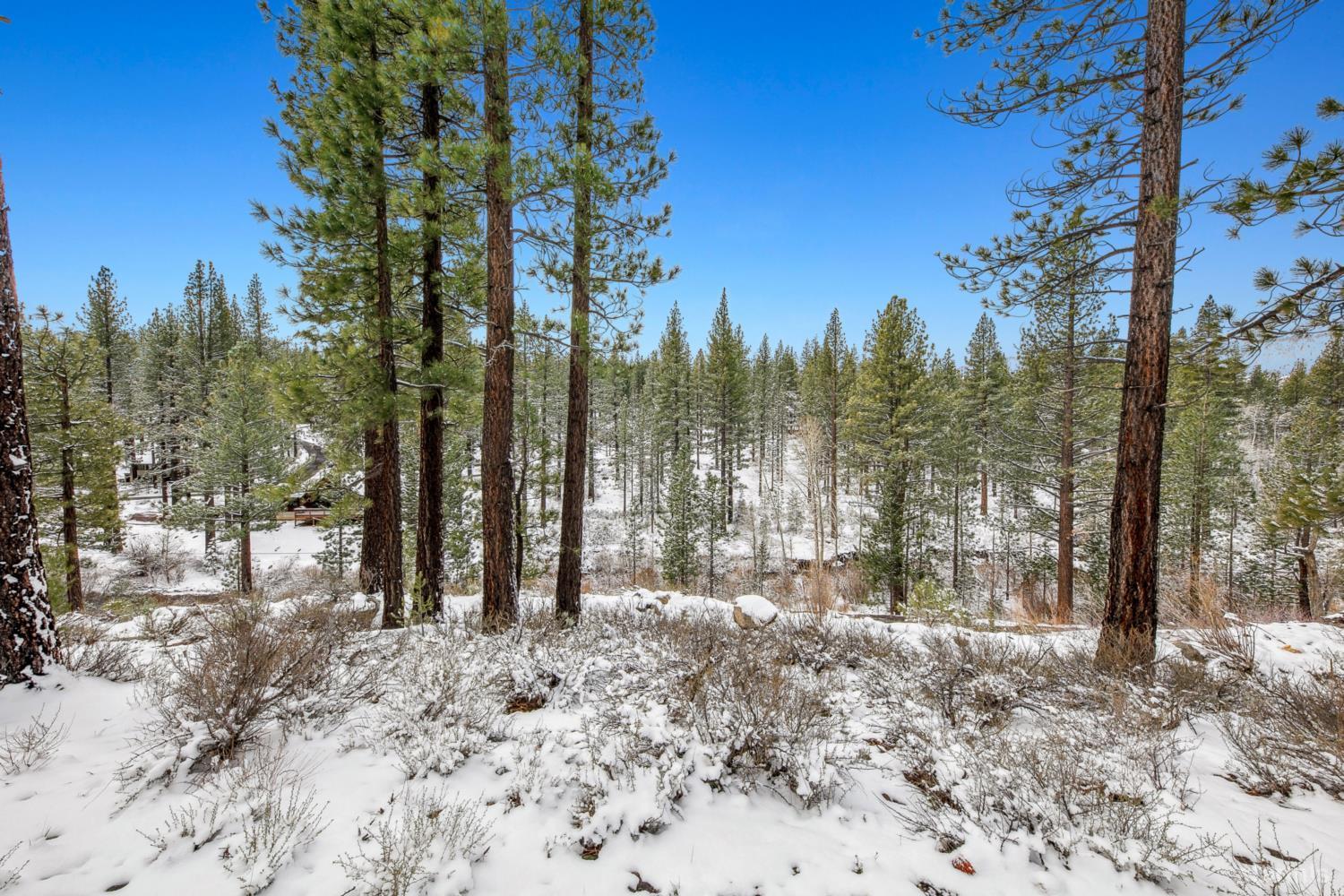 3 Raymond View Markleeville, CA 96120 - Photo 30 of 38